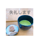 抹茶めっせーじ（個別スタンプ：7）