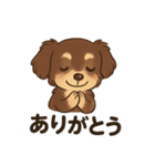 チワックスのモカ君2（個別スタンプ：6）