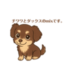 チワックスのモカ君2（個別スタンプ：7）