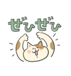 ねこカフェスタンプ (デカ文字敬語)（個別スタンプ：38）