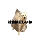 ～6ヶ月らいち（個別スタンプ：3）