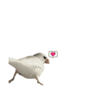 白チワワと白文鳥とカラフルヒューマンさん（個別スタンプ：16）