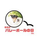 のわとおり（個別スタンプ：14）