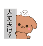 石川弁＆金沢弁のトイプードルとシマエナガ（個別スタンプ：12）