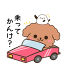 石川弁＆金沢弁のトイプードルとシマエナガ（個別スタンプ：19）