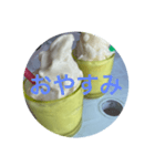 スムージーでめっせーじ（個別スタンプ：11）