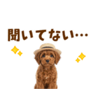毎日使える♪トイプードル子犬スタンプ（個別スタンプ：7）