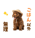 毎日使える♪トイプードル子犬スタンプ（個別スタンプ：13）