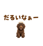 毎日使える♪トイプードル子犬スタンプ（個別スタンプ：25）