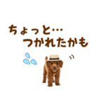 毎日使える♪トイプードル子犬スタンプ（個別スタンプ：28）