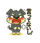 シュナウザーの日常.ツンデレ顔でかver.②（個別スタンプ：7）