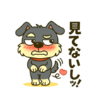 シュナウザーの日常.ツンデレ顔でかver.②（個別スタンプ：10）