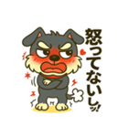 シュナウザーの日常.ツンデレ顔でかver.②（個別スタンプ：13）