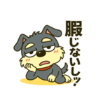 シュナウザーの日常.ツンデレ顔でかver.②（個別スタンプ：14）