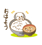 わんこびより(シーズー)①（個別スタンプ：1）
