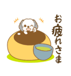 わんこびより(シーズー)①（個別スタンプ：7）