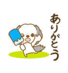 わんこびより(シーズー)①（個別スタンプ：13）