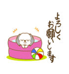 わんこびより(シーズー)①（個別スタンプ：21）