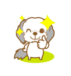 わんこびより(シーズー)①（個別スタンプ：25）