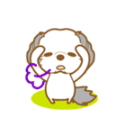 わんこびより(シーズー)①（個別スタンプ：28）