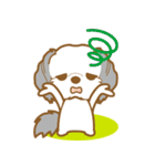 わんこびより(シーズー)①（個別スタンプ：30）