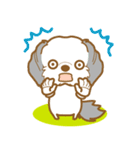 わんこびより(シーズー)①（個別スタンプ：31）