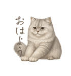 リアルなペルシャ猫2（個別スタンプ：2）