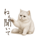 リアルなペルシャ猫2（個別スタンプ：15）