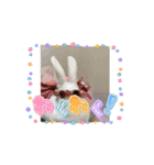 うさぎのコナン家 群青の動くスタンプ（個別スタンプ：14）