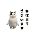 動く！踊るミニ猫ミーム（個別スタンプ：6）