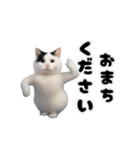 動く！踊るミニ猫ミーム（個別スタンプ：9）