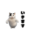 動く！踊るミニ猫ミーム（個別スタンプ：10）
