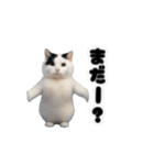 動く！踊るミニ猫ミーム（個別スタンプ：11）
