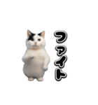 動く！踊るミニ猫ミーム（個別スタンプ：13）