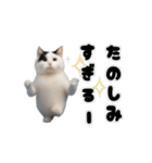 動く！踊るミニ猫ミーム（個別スタンプ：18）