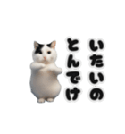動く！踊るミニ猫ミーム（個別スタンプ：19）