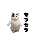 動く！踊るミニ猫ミーム（個別スタンプ：20）