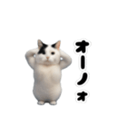 動く！踊るミニ猫ミーム（個別スタンプ：21）