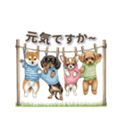 可愛い子犬ワンコ大集合！（個別スタンプ：4）