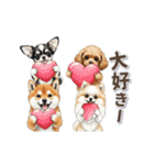可愛い子犬ワンコ大集合！（個別スタンプ：7）