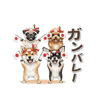 可愛い子犬ワンコ大集合！（個別スタンプ：12）