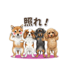 可愛い子犬ワンコ大集合！（個別スタンプ：14）