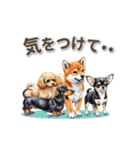 可愛い子犬ワンコ大集合！（個別スタンプ：15）
