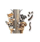 可愛い子犬ワンコ大集合！（個別スタンプ：20）