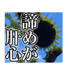 ネガティブなひまわり（個別スタンプ：6）