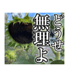ネガティブなひまわり（個別スタンプ：9）