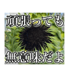 ネガティブなひまわり（個別スタンプ：12）