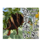 ネガティブなひまわり（個別スタンプ：18）