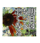 ネガティブなひまわり（個別スタンプ：19）
