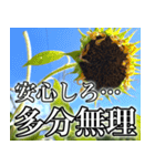 ネガティブなひまわり（個別スタンプ：24）